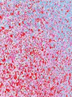 Stampa Su Tela Flower Boat