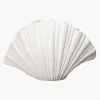 Vaso Conchiglia Grande Di Design Bianco Shell