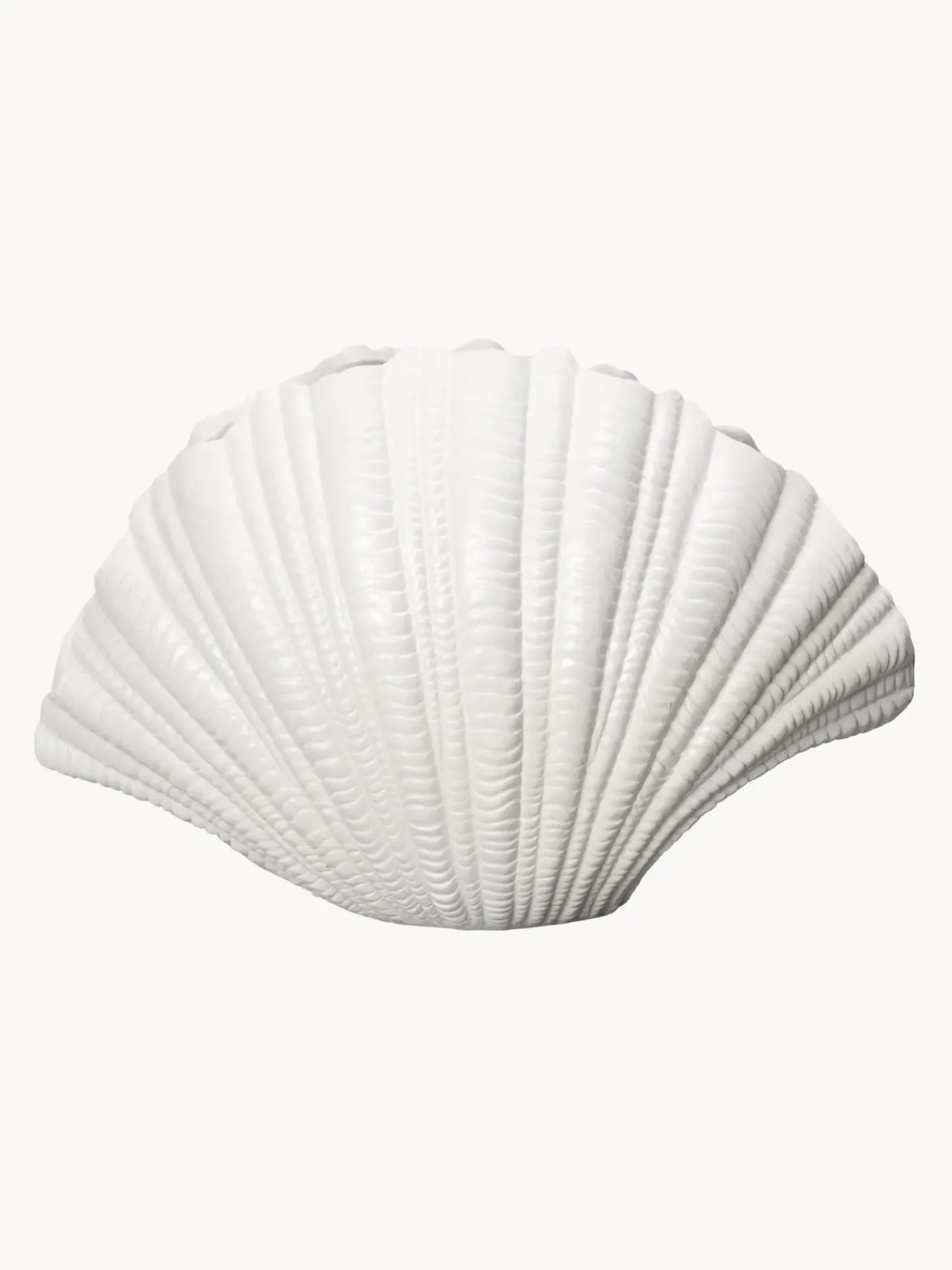 Vaso Conchiglia Grande Di Design Bianco Shell
