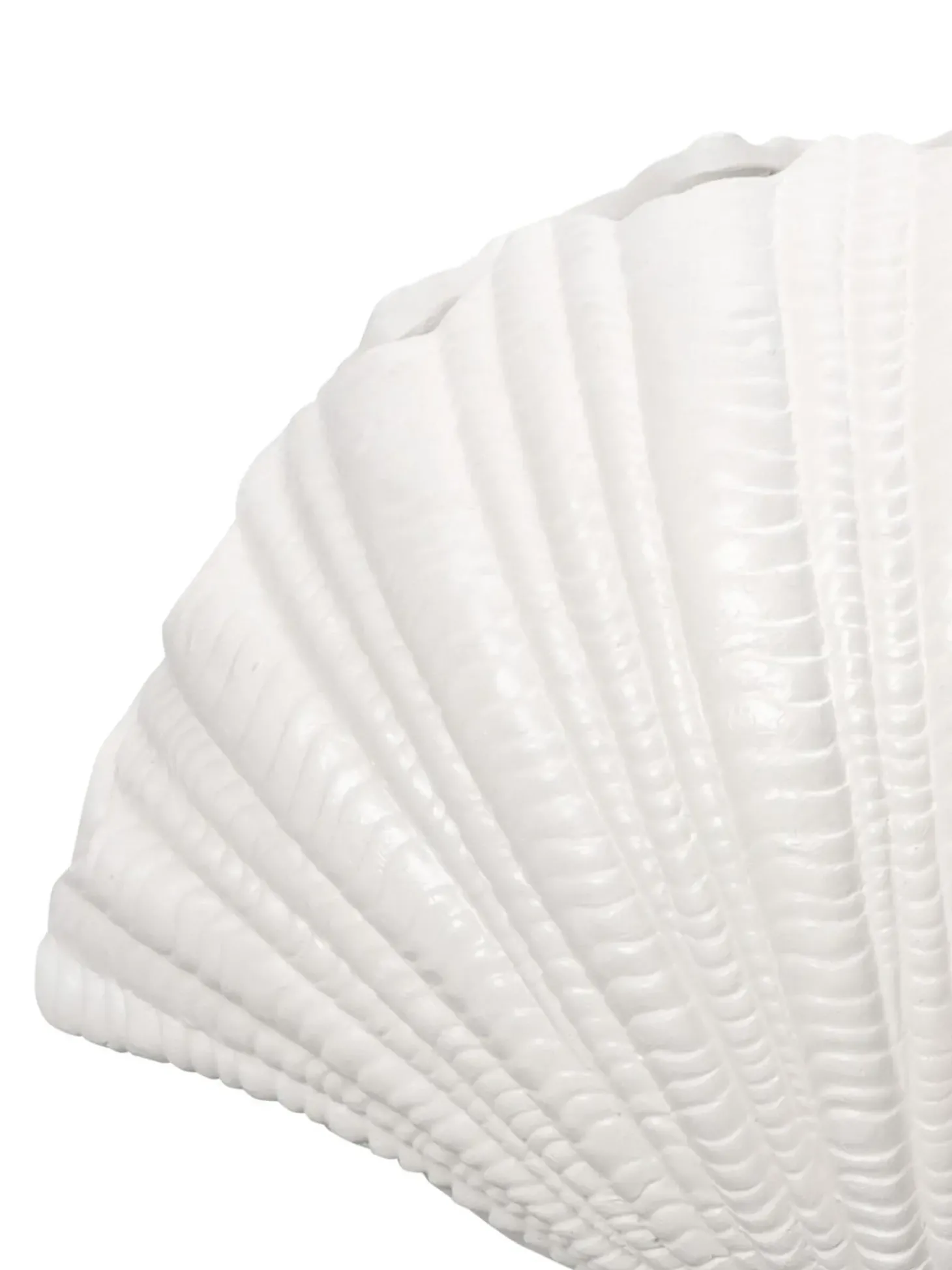 Vaso Conchiglia Grande Di Design Bianco Shell