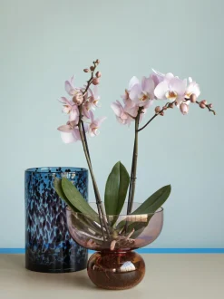 Vaso Di Design In Vetro Soffiato Rosa/Ambrato Show