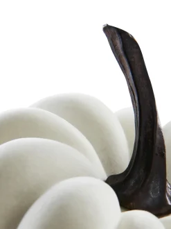 Zucca Decorativa Pepo