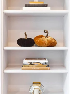 Zucca Decorativa Pumpis